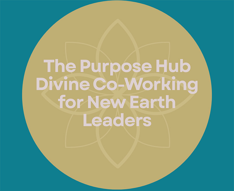 The Purpose Hub